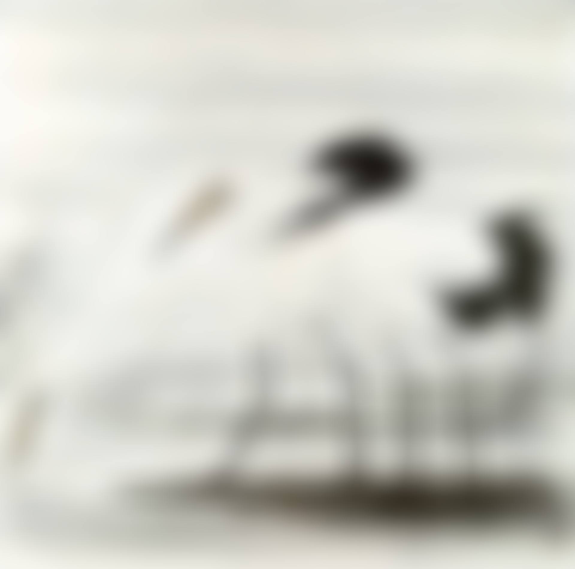 EGRETS (preview)