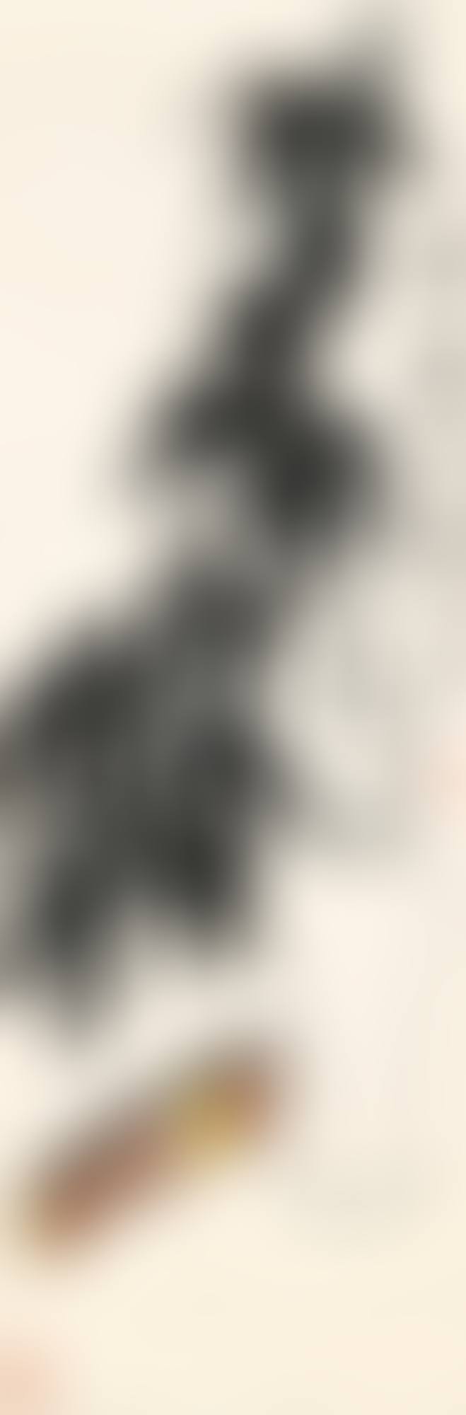 BAMBOO AND FIRE CRACKERS (preview)