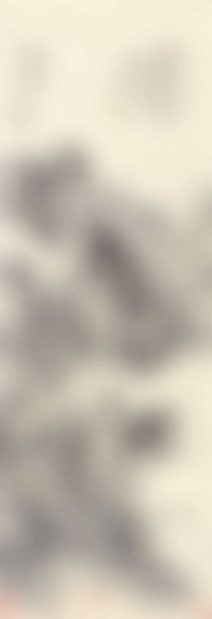 STUDIO IN OVERCAST MOUNTAINS (preview)