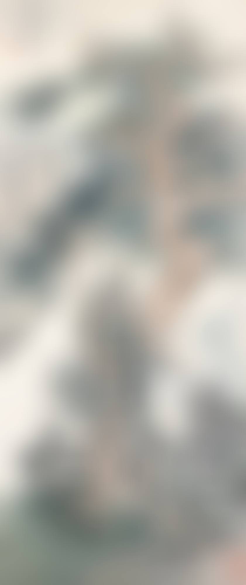 PINE TREES BY THE ROCK (preview)