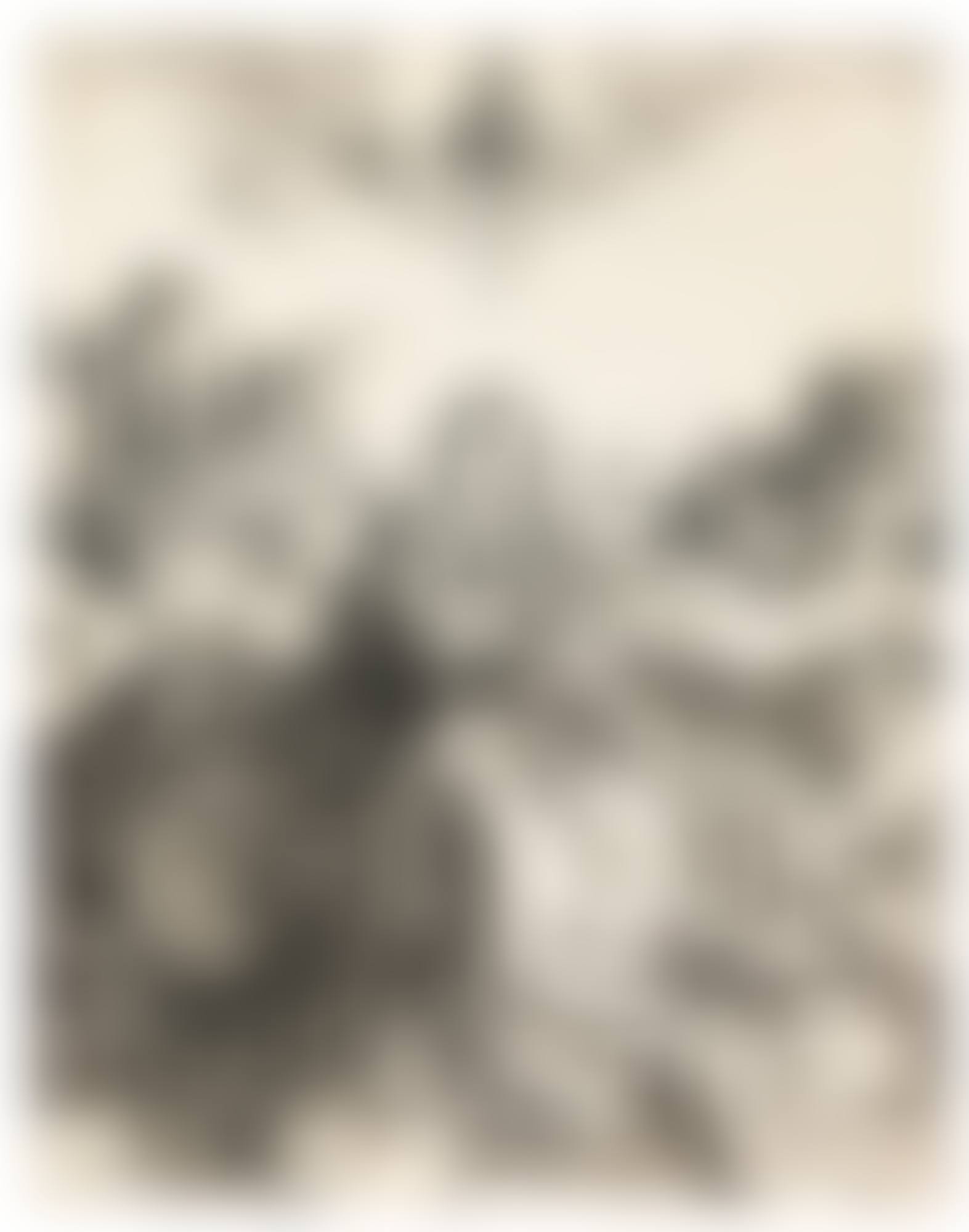 THE HOLY FAMILY WITH THE BUTTERFLY  (preview)