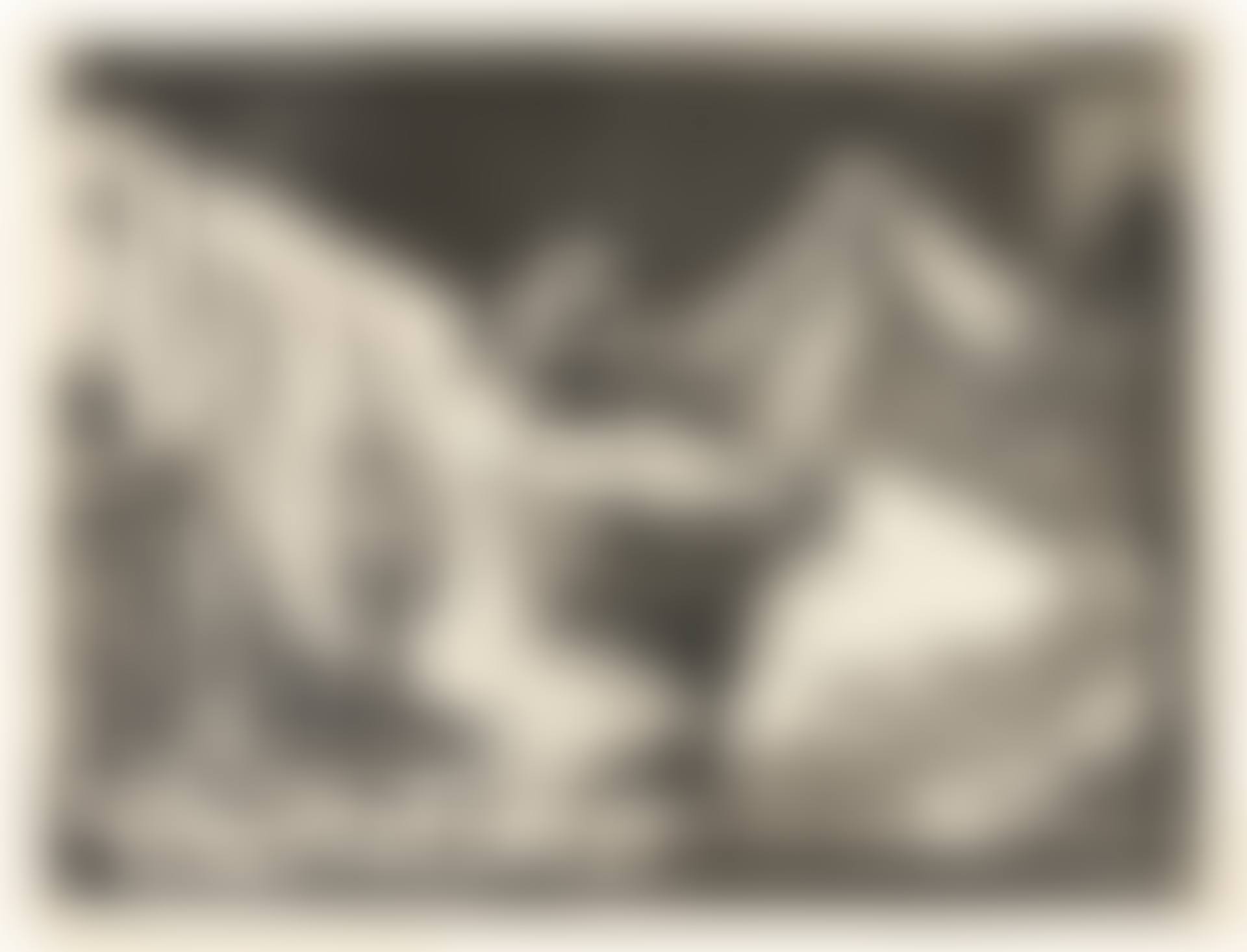 FAUNE DÉVOILANT UNE FEMME (preview)