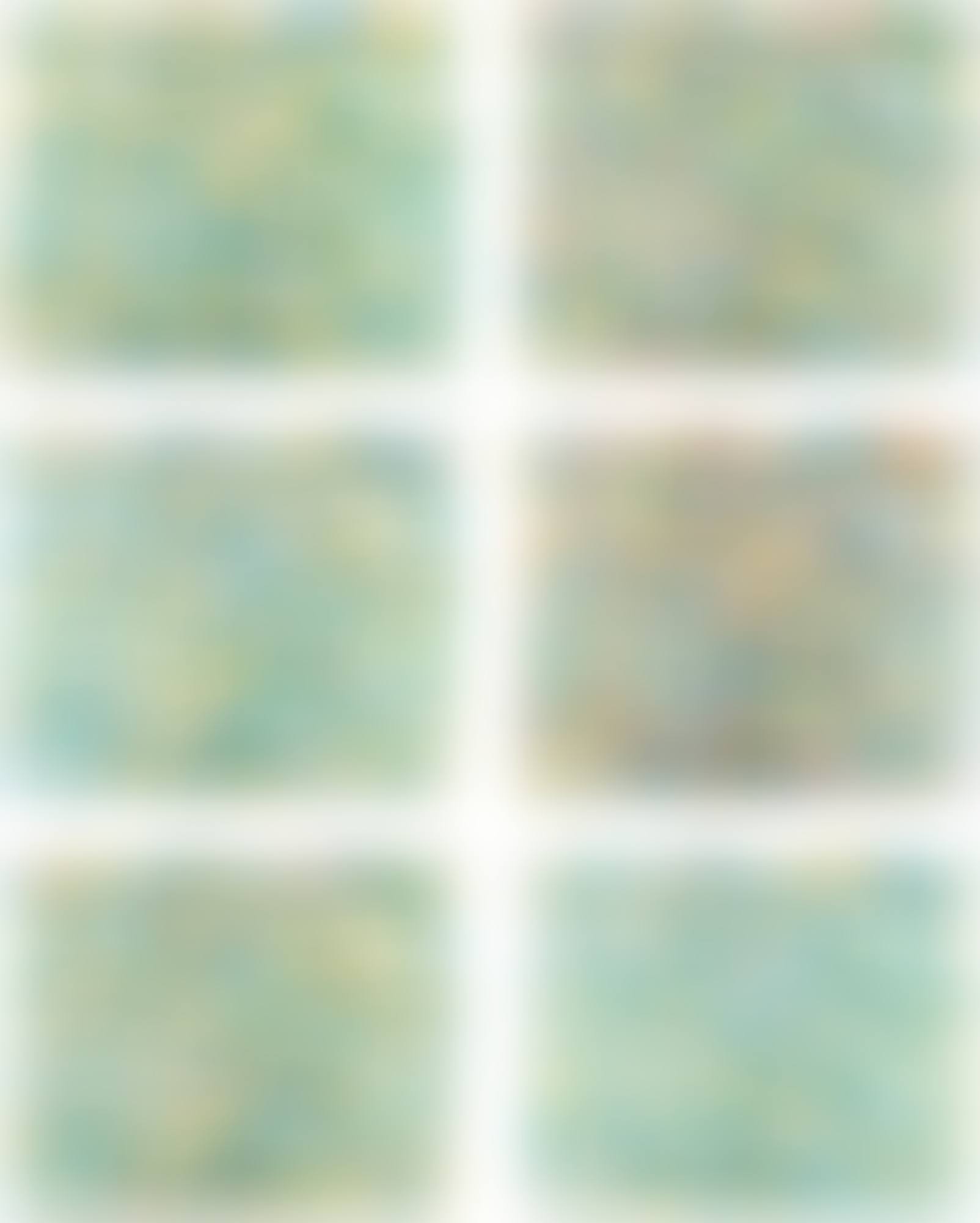 COLOUR FIELDS, SIX ARRANGEMENTS OF 1260 COLOURS  (preview)