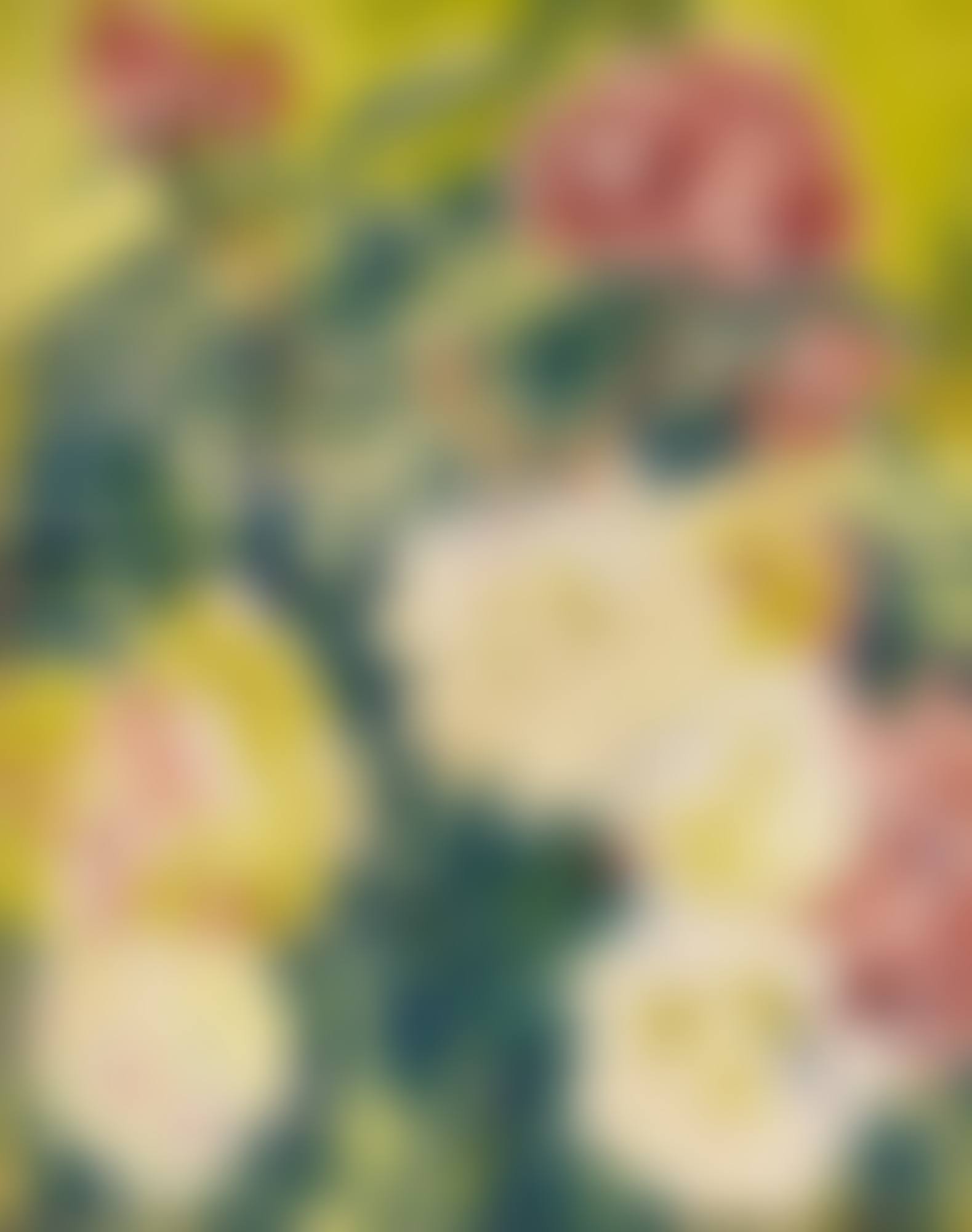 PEONIES (preview)