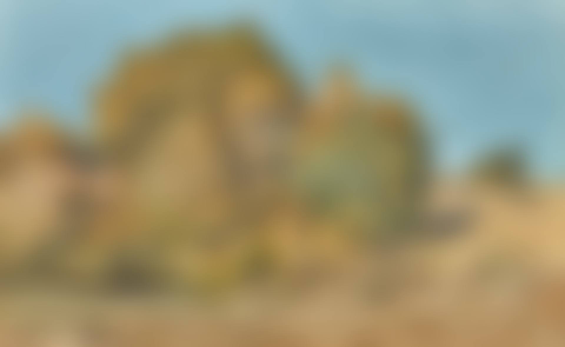 A WOODED LANDSCAPE (preview)