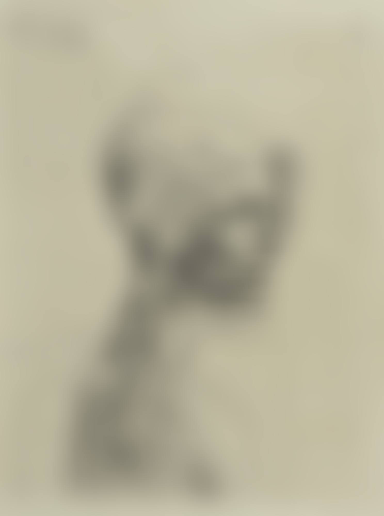 BUSTE D’HOMME (FROM LA SUITE DE SALTIMBANQUES ) (preview)