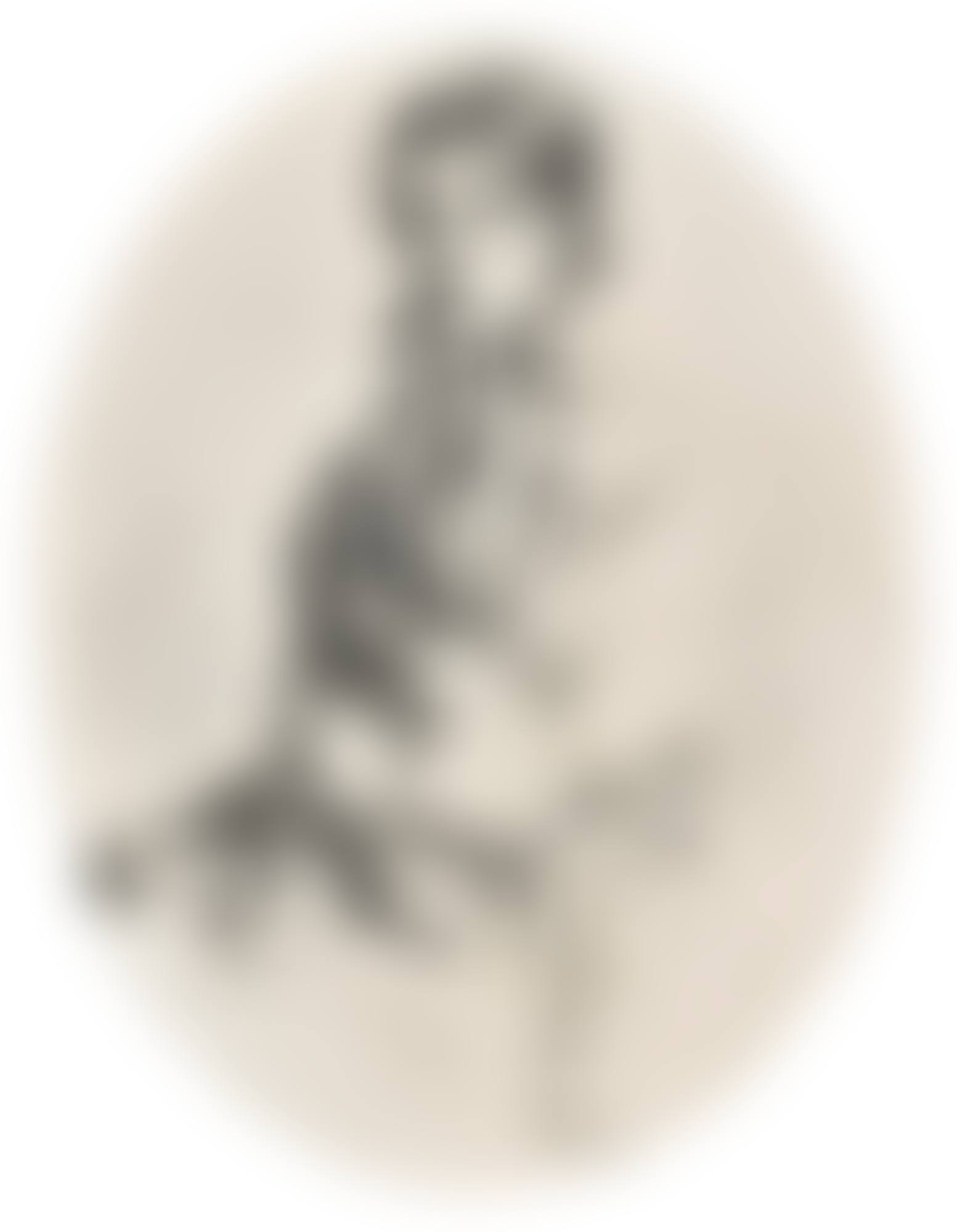 MRS JOHN BUTLER YEATS (SUSAN MARY POLLEXFEN) (preview)