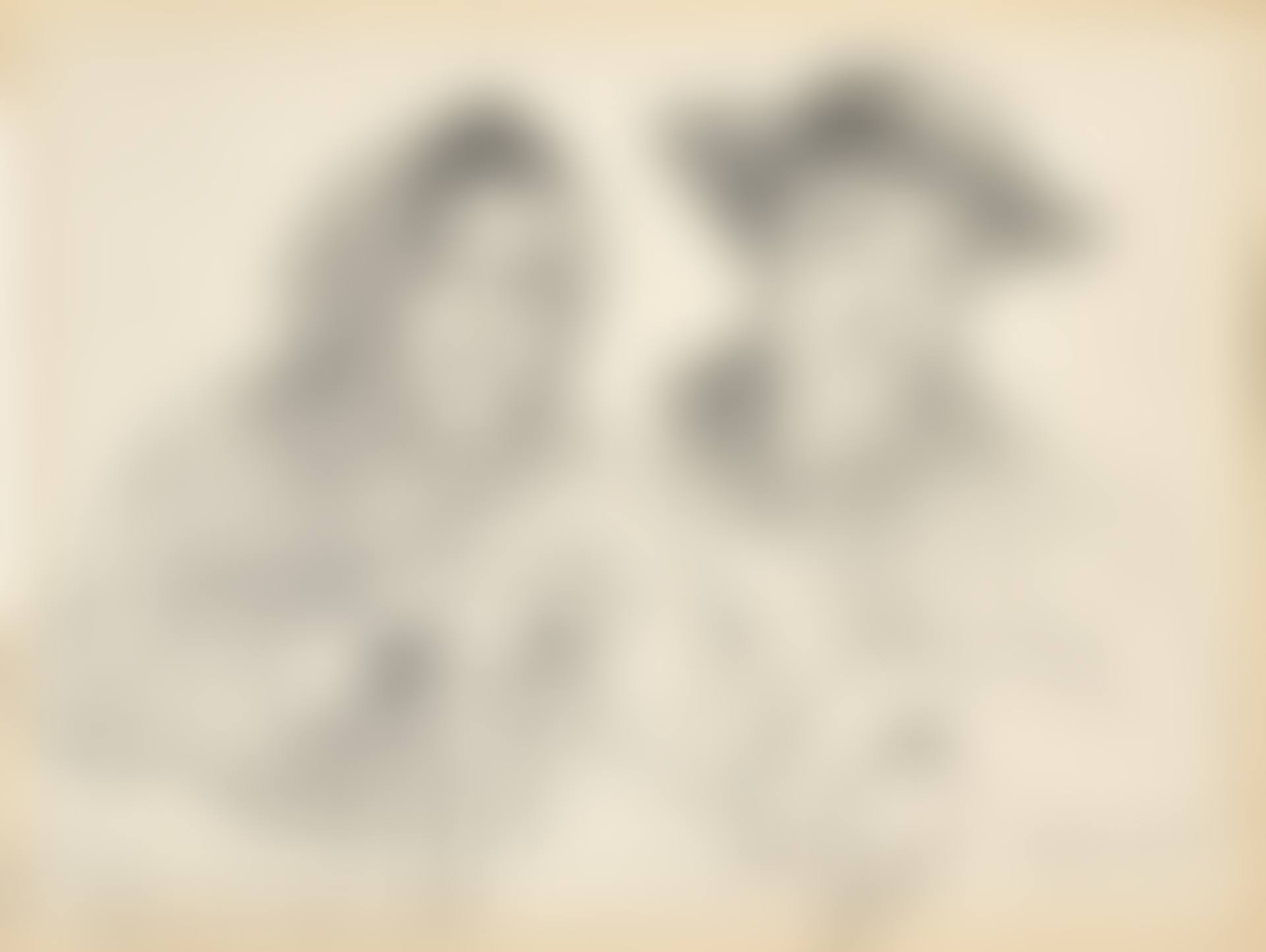 OLD MAN AND WOMAN IN "WELL OF THE SAINTS" (preview)