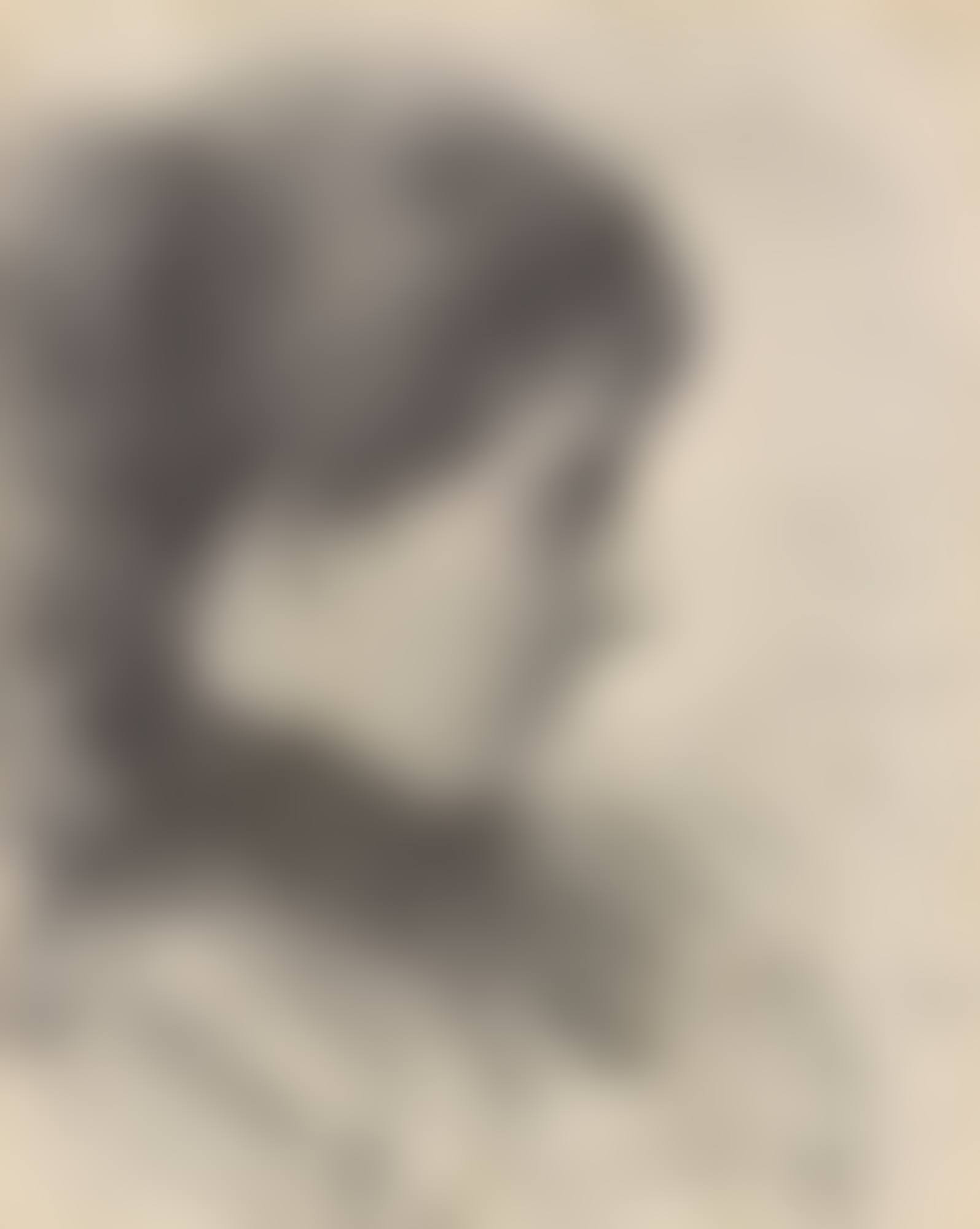 PORTRAIT OF ELIZABETH CORBET 'LOLLY' YEATS   (preview)