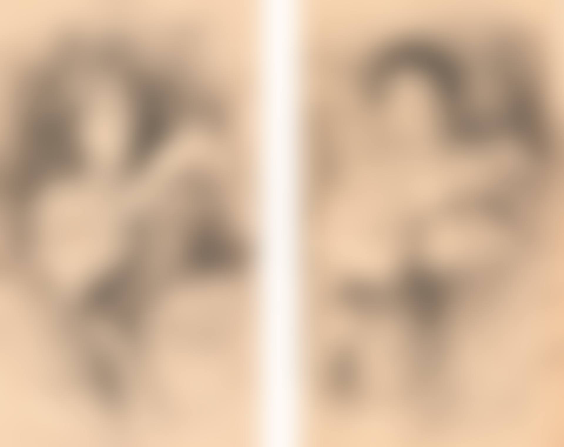 THE ARTIST'S DAUGHTERS (preview)