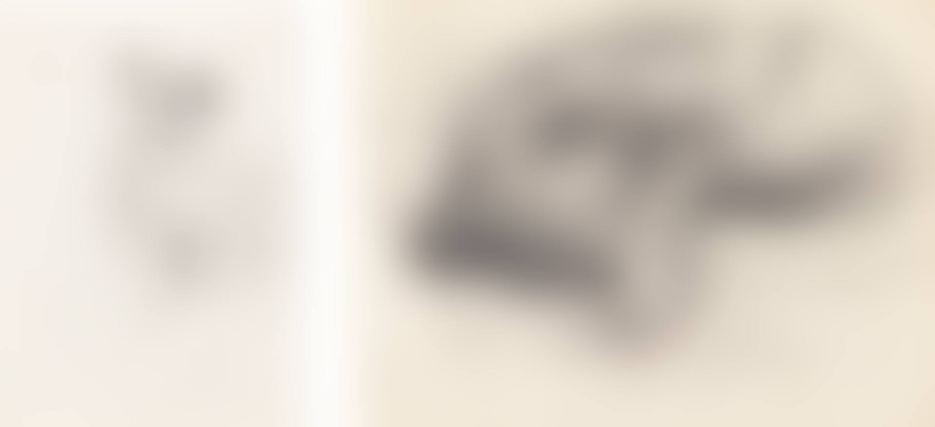 NINE SKETCHES OF ANIMALS (preview)