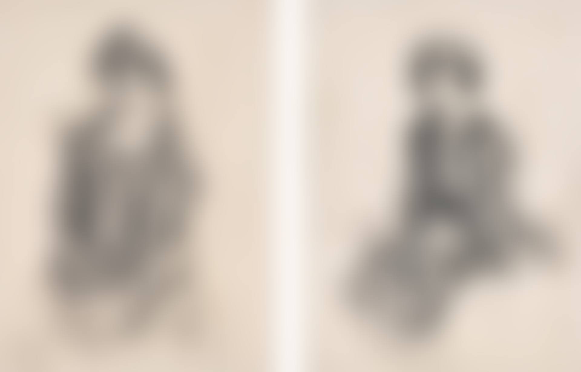 TWO PORTRAITS OF LADIES SEATED (preview)
