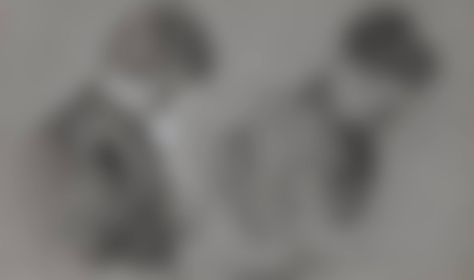 W. B. YEATS READING (preview)