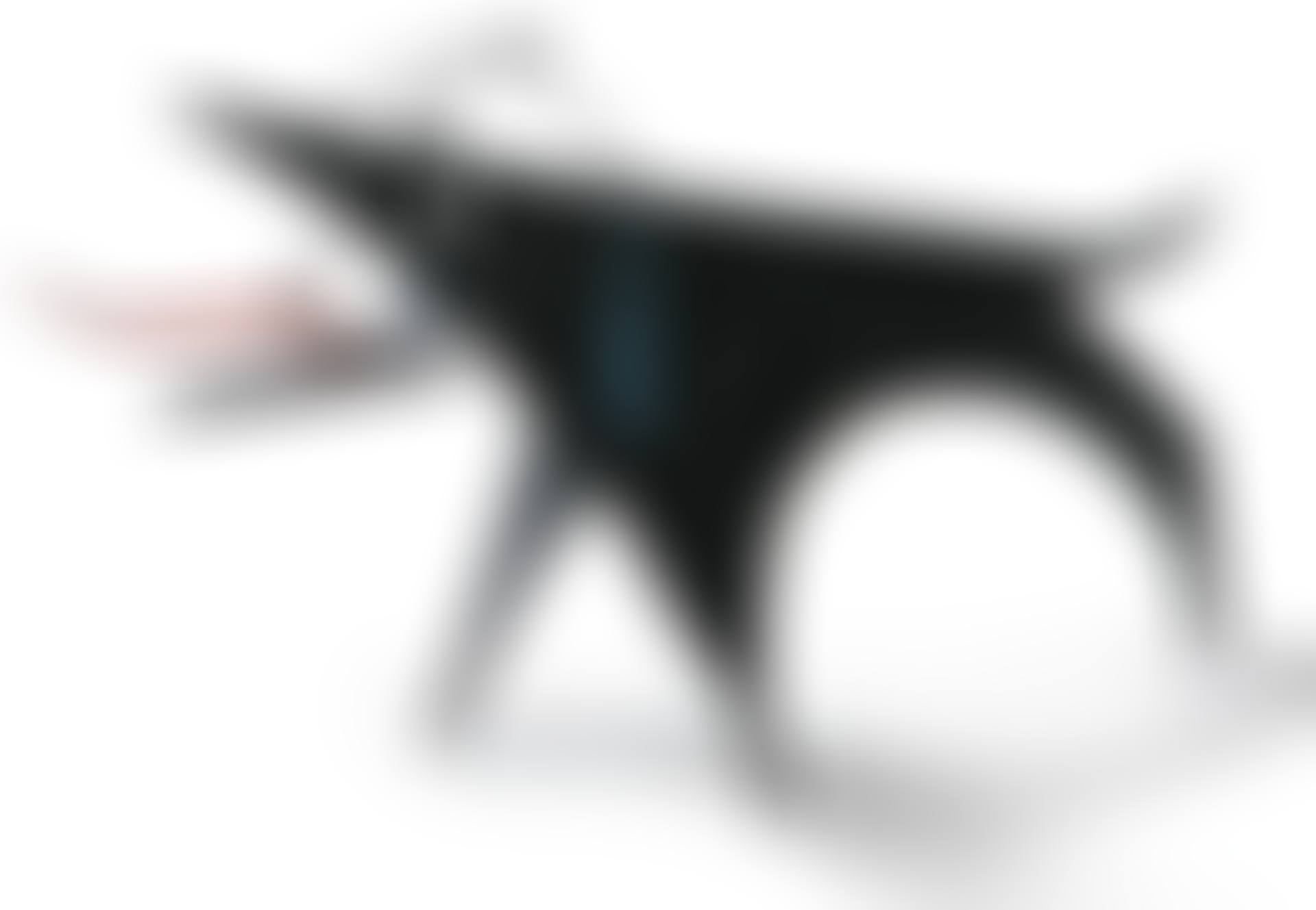 PUP (preview)