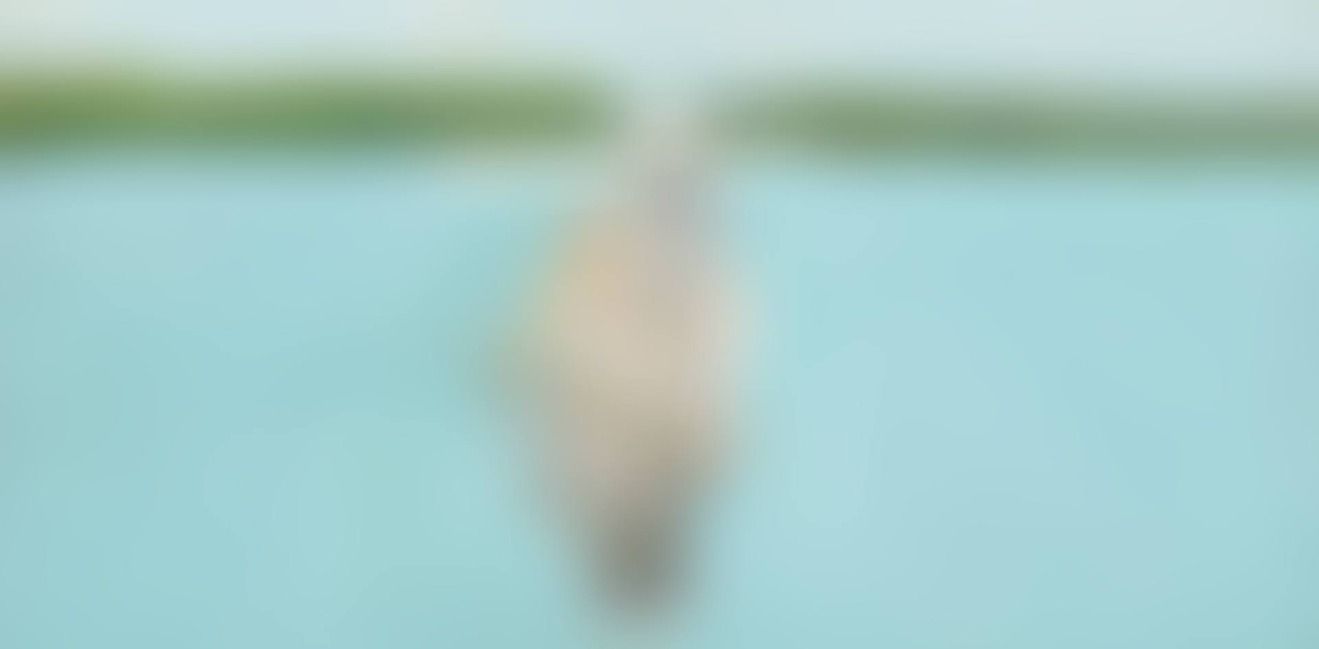 STUDY FOR "GOOD AFTERNOON" (preview)