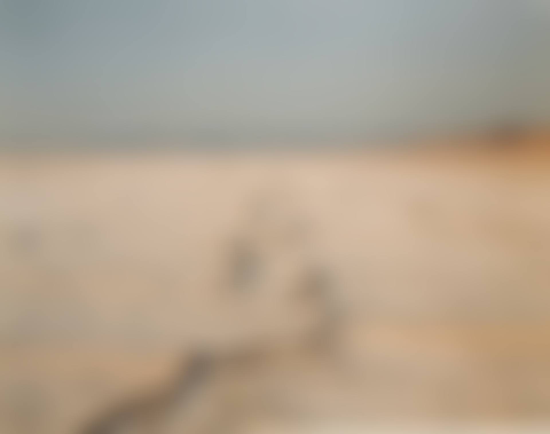 ENCRUSTED TRACKS, BONNEVILLE SALT FLATS (preview)