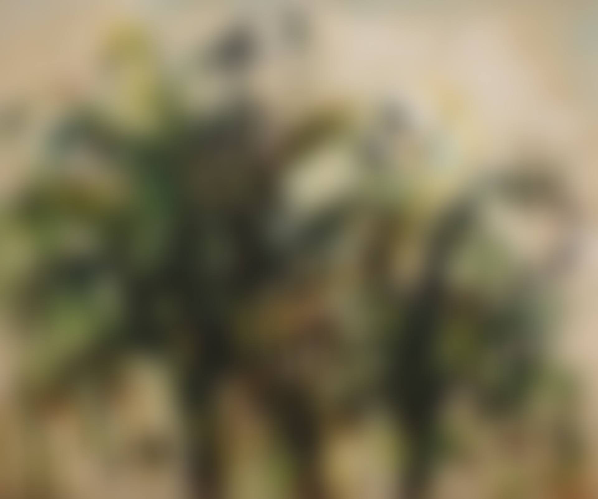 PALM TREES (preview)