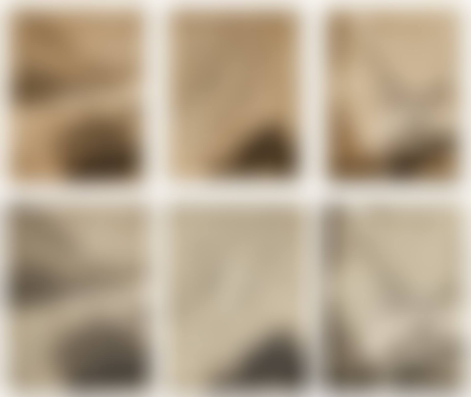 LES POEMES DE T'AO TS'IEN (TOTAL OF SIX WORKS; THREE IN BLACK AND THE OTHER THREE IN SEPIA) (preview)