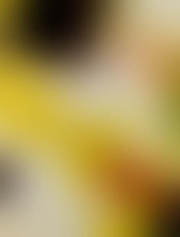 2 Sided Picture (Red/Yellow), November 22, LA, CA, Kodak Supra (preview)