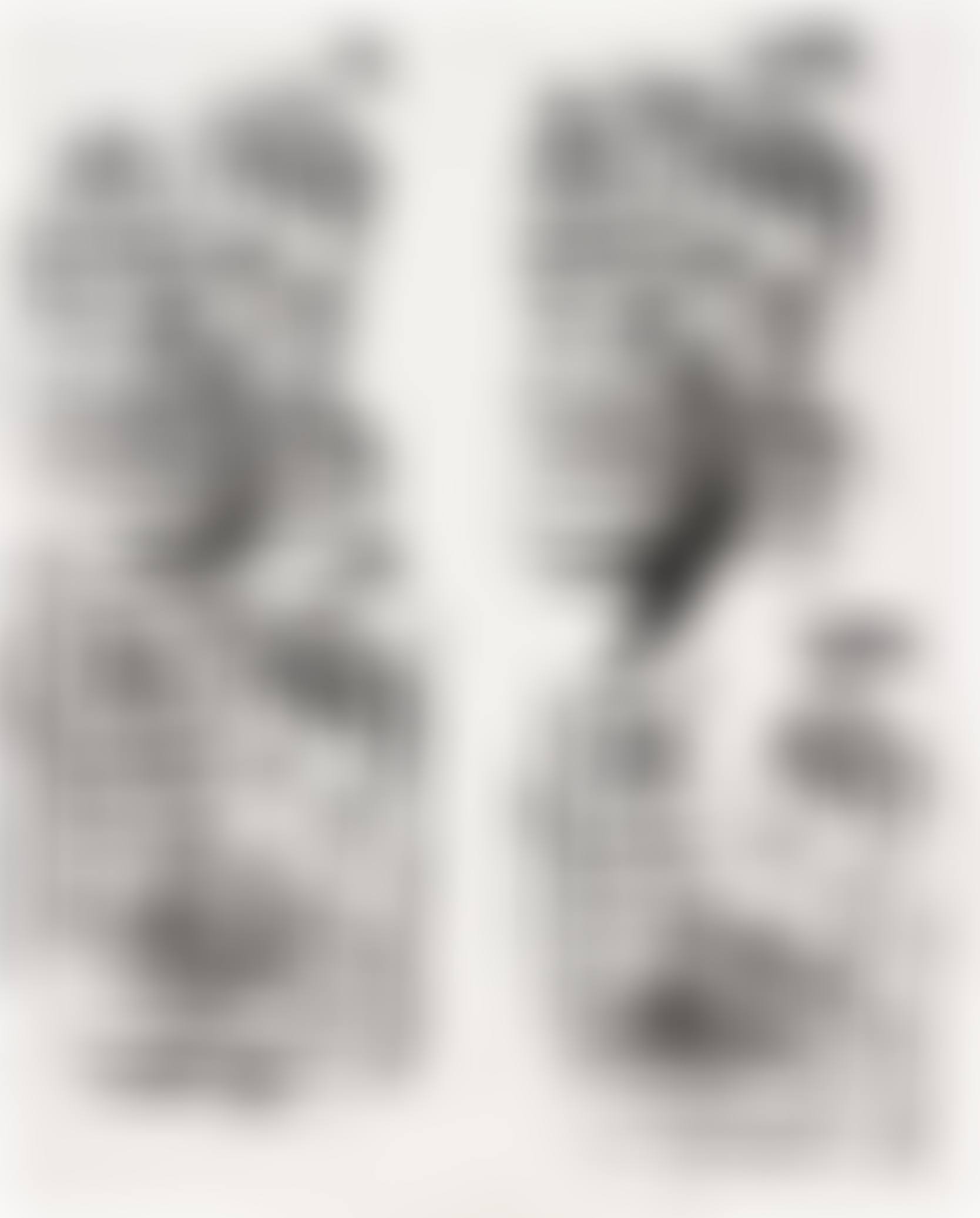 Untitled (JS0794) (preview)