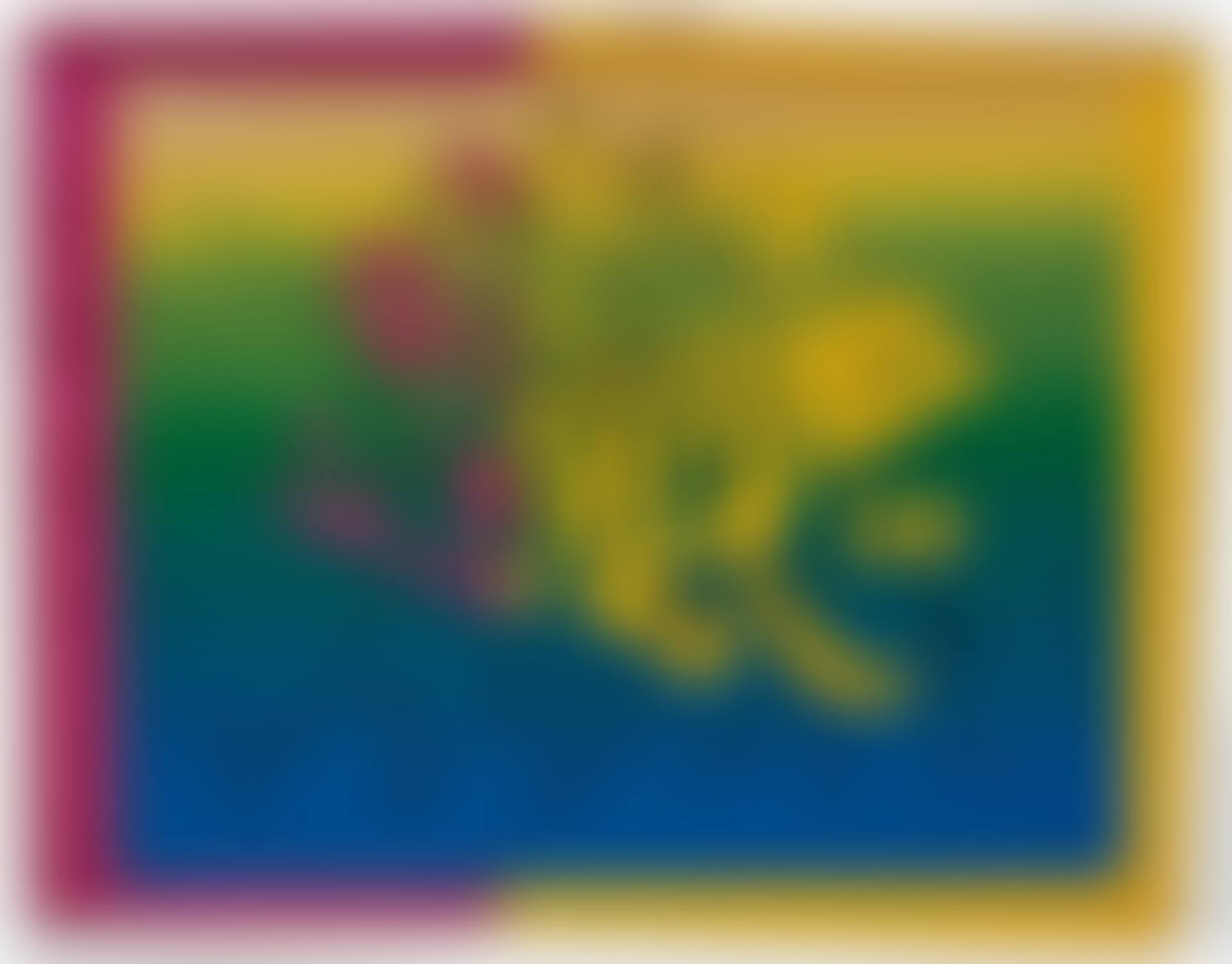 Kiku (preview)