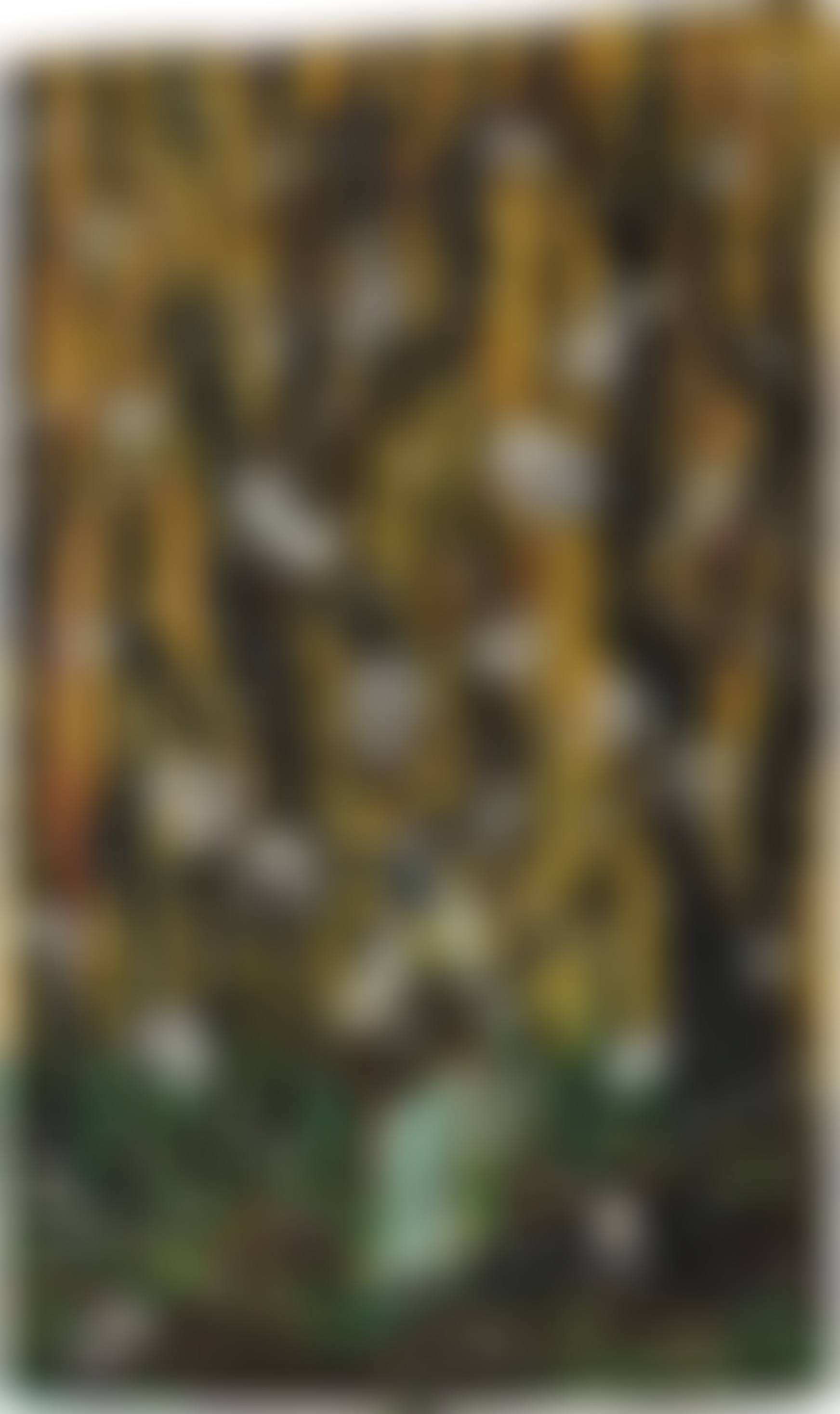 Untitled (preview)
