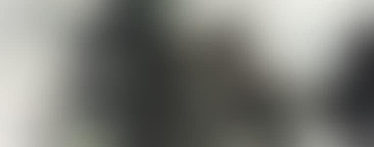 Mountain View (preview)