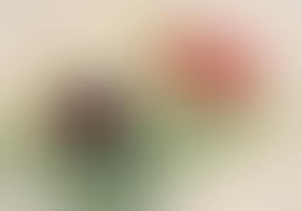 PEONY (preview)