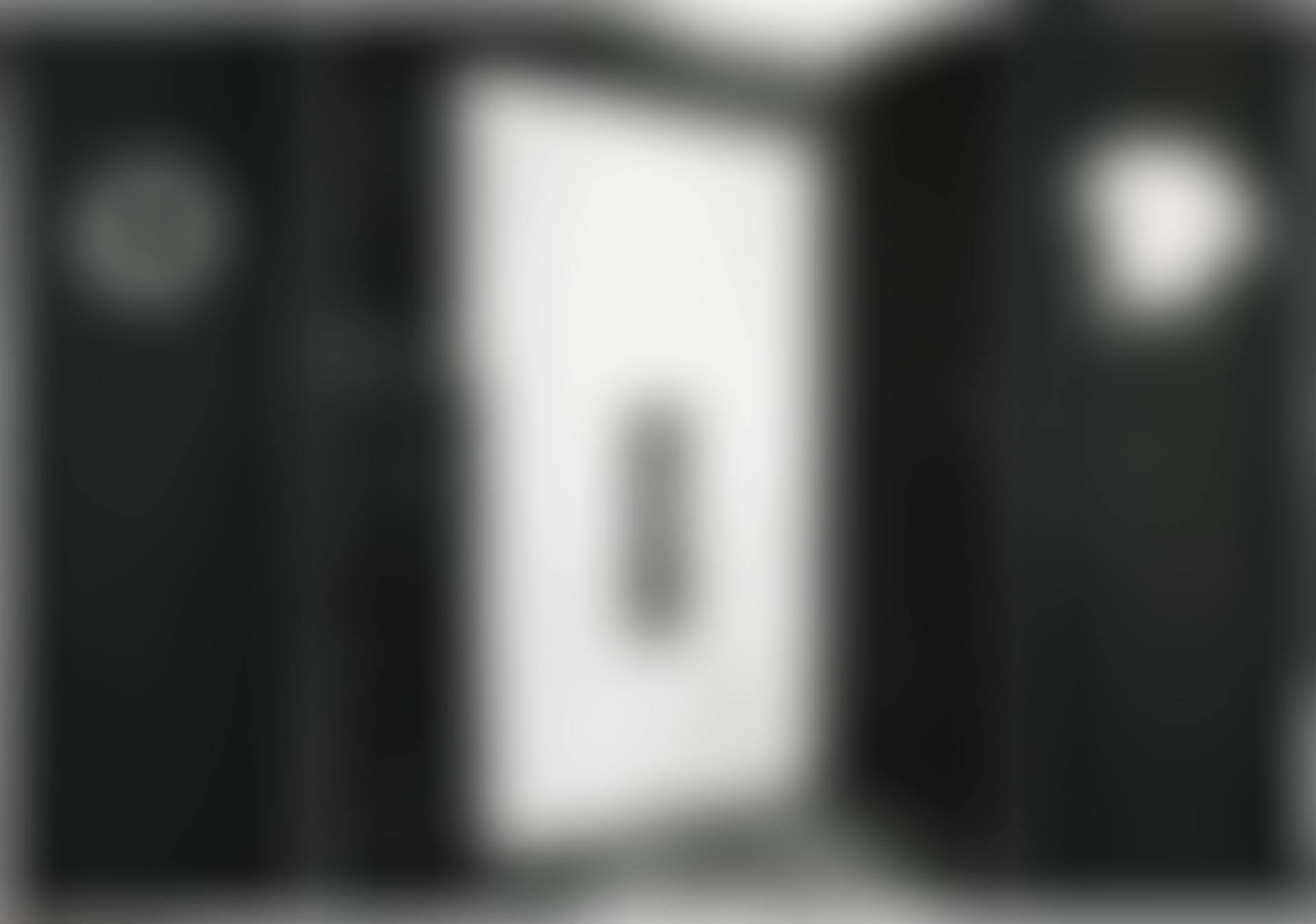 UNTITLED (TRIPTYCH- PEEPHOLE, CONSULTING ROOM DOOR, HEAD FROM SHELF 1938) (preview)