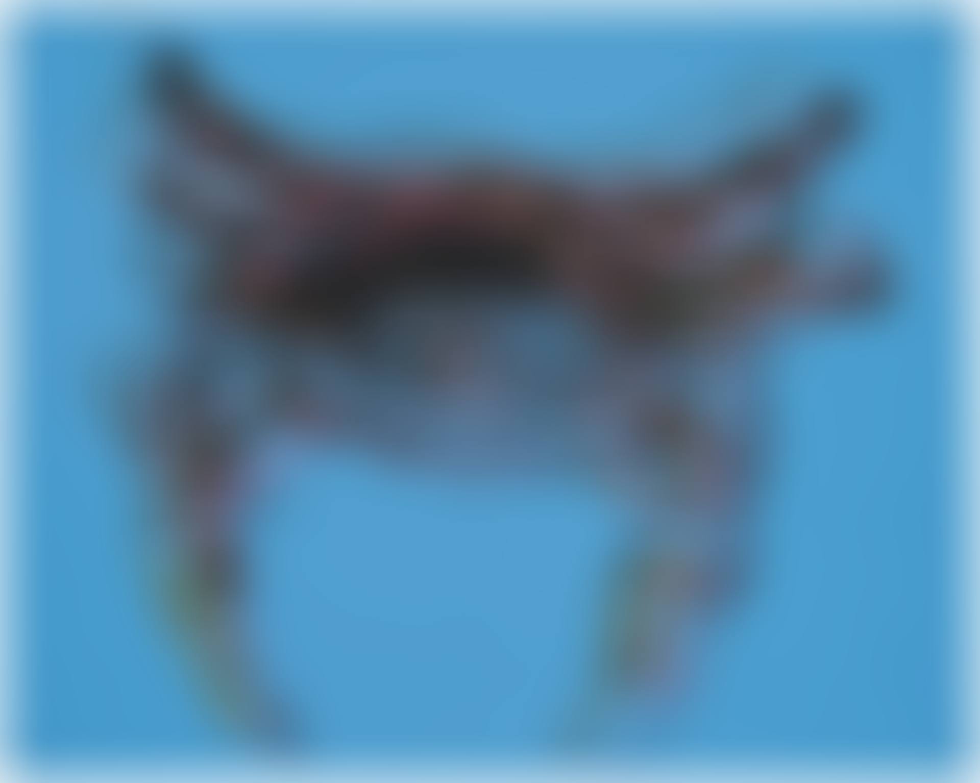 CRAB (preview)