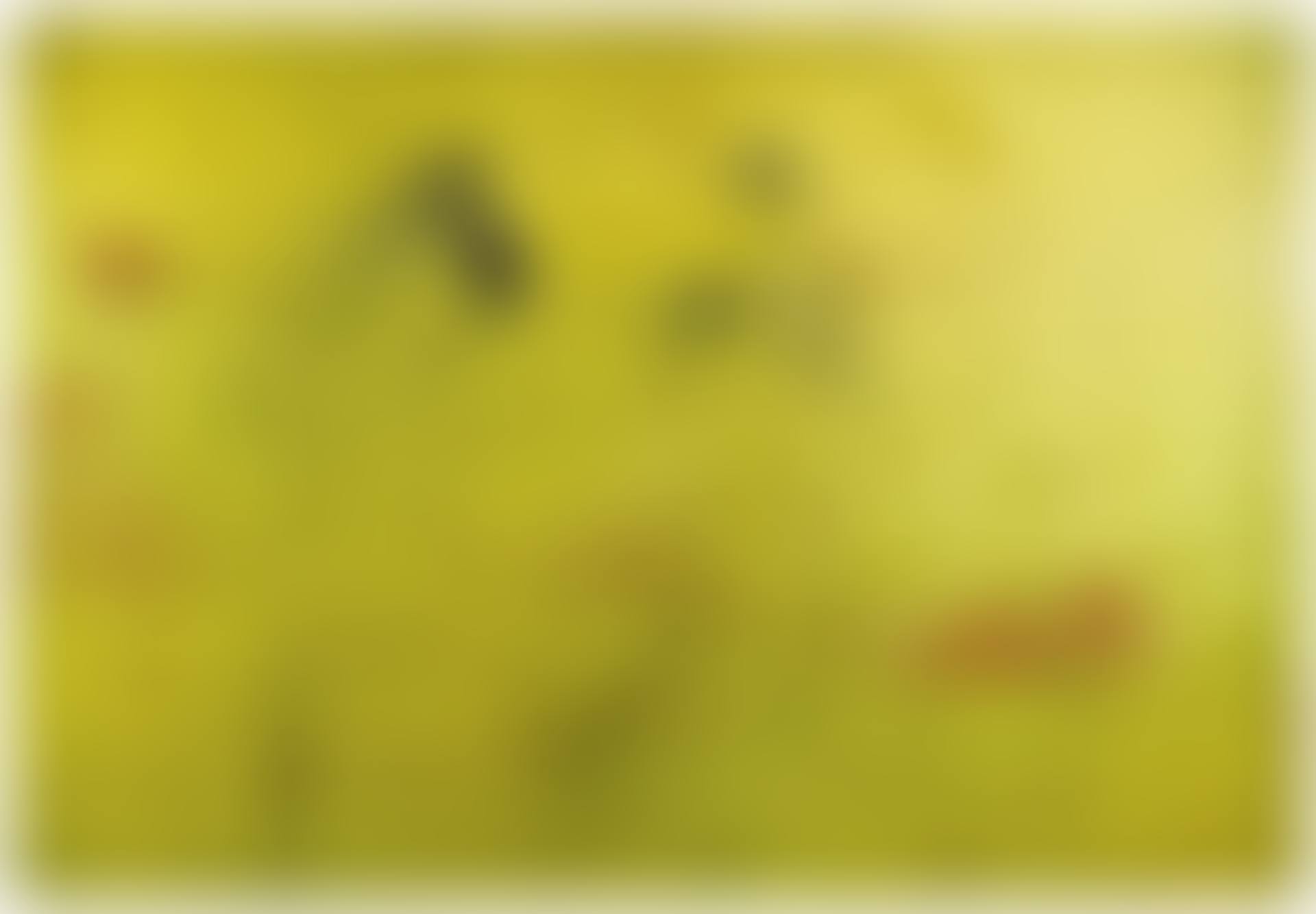 YELLOW - RUN (preview)