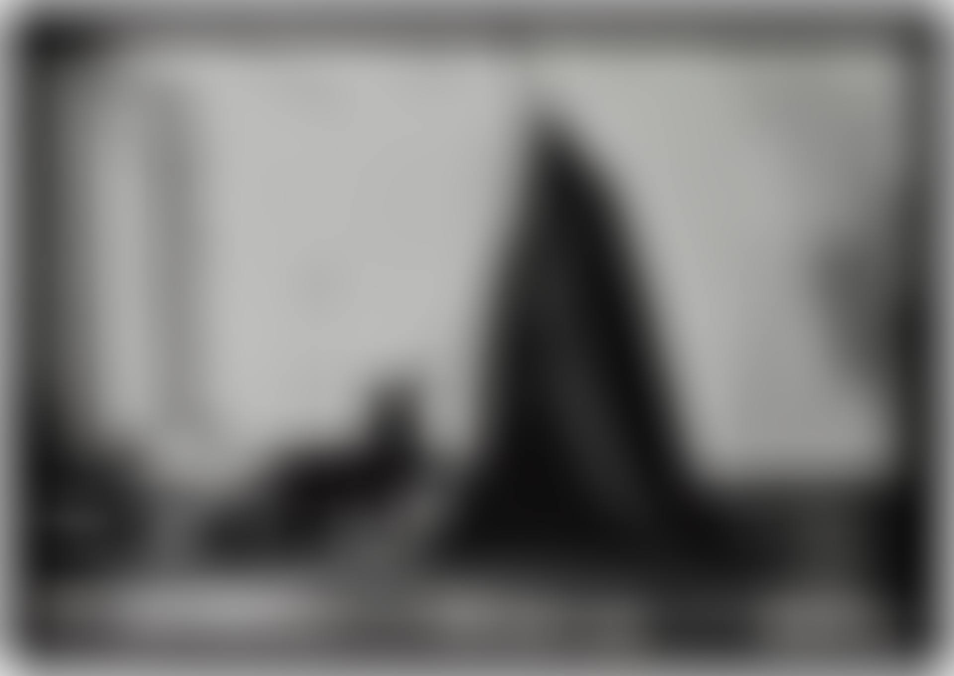 COYOTE (I LOVE AMERICA AND AMERICA LOVES ME), AFTER JOSEPH BEUYS (PICTURES OF PAPER) (preview)