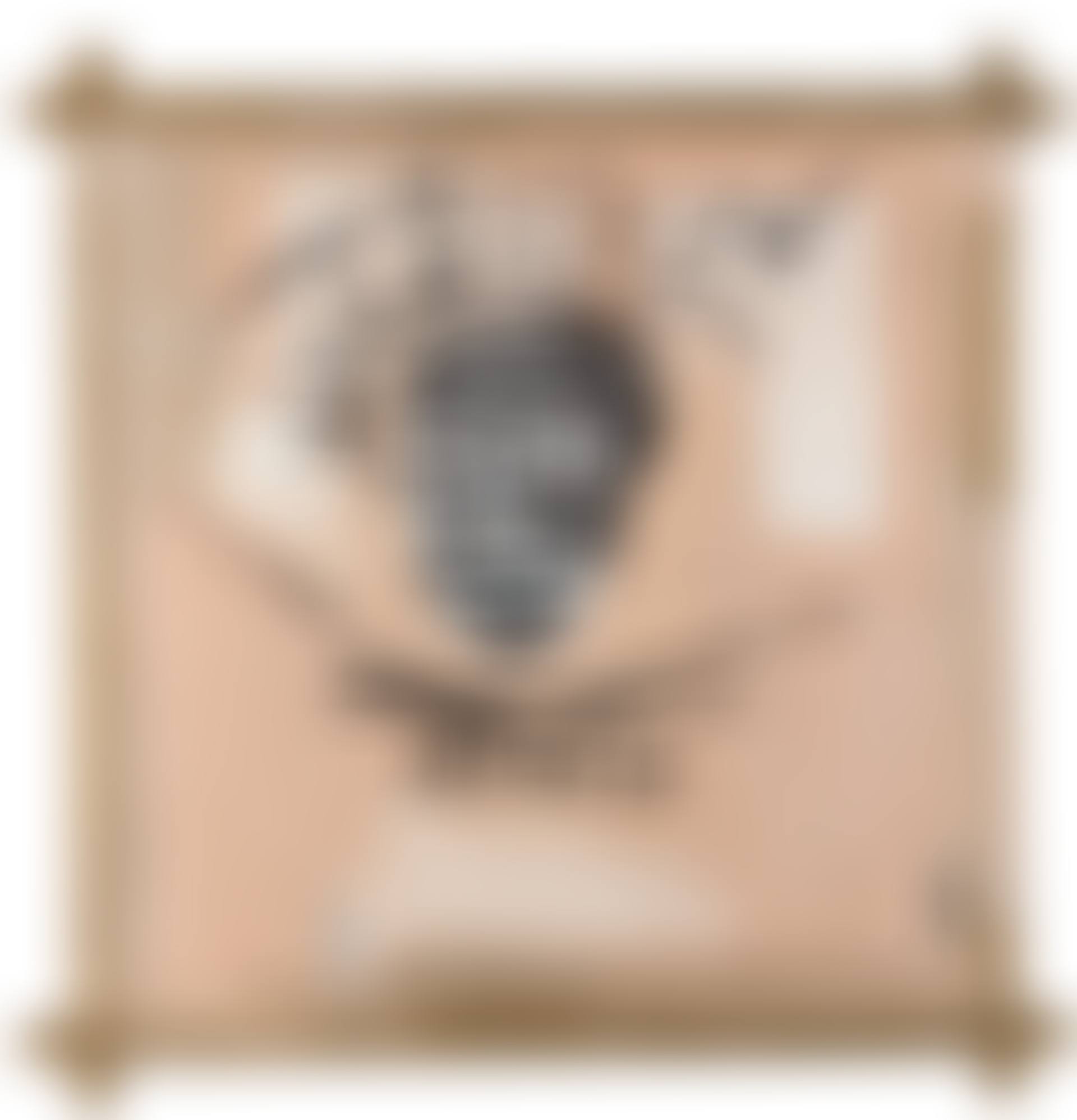BRONZE (preview)