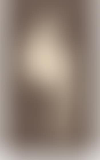 Contentment, preliminary drawing (preview)