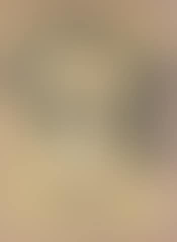 David (Male Torso) , (preview)