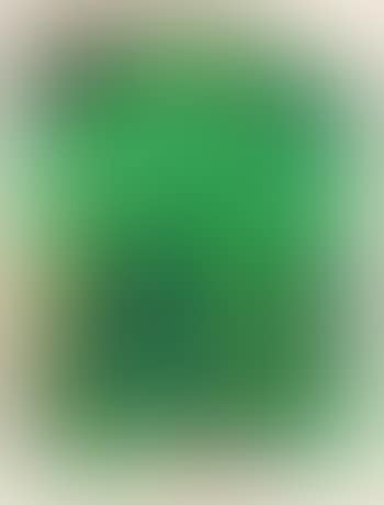 Green power ,
1972 (preview)