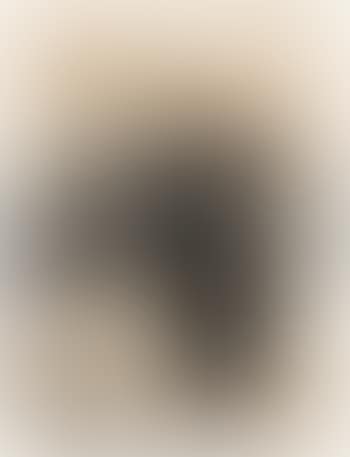 Ohne Titel ,
1976 (preview)