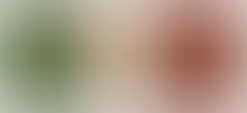 Ohne Titel ,
1996 (preview)