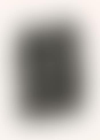 Untitled ,
1981 (preview)