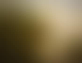 Landscape , (preview)