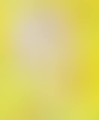 Yellow mask ,
1981 (preview)