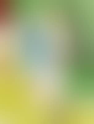 Untitled ,
Circa
1968 (preview)