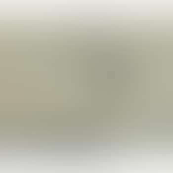 Noch ohne titel ,
2006 (preview)