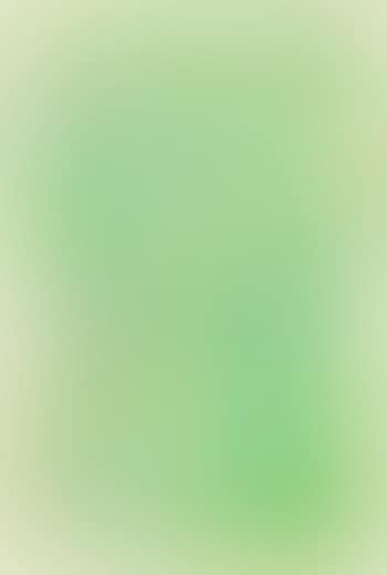 Untitled ,
1960 (preview)