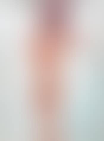 Le nu , (preview)