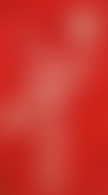 Vase of chrysanthemums with red ground , (preview)