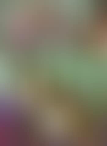 Cicago ,
2013 (preview)