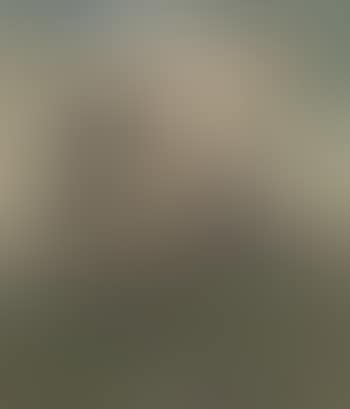 Dutch landscape with windmill , (preview)