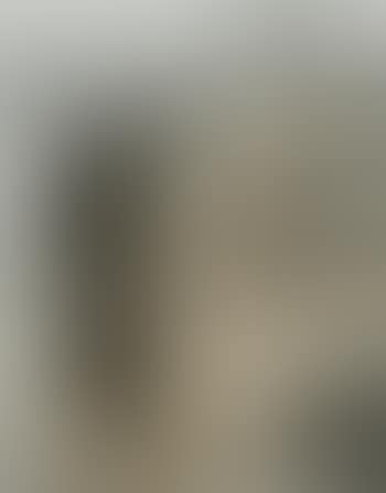 [Untitled] ,
1972 (preview)