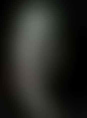 [Untitled] ,
1954 (preview)